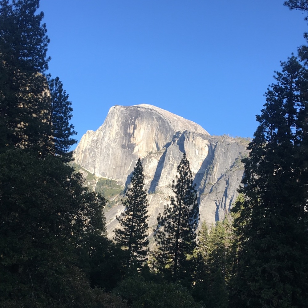 Meet your Posher, Carol